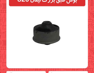 بوش طبق بزرگ لیفان 820